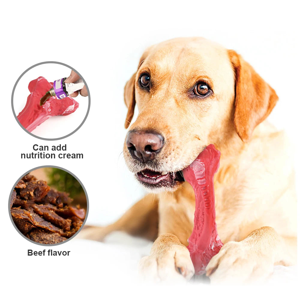 Pet Dog Bone Chew Toy for Chewers