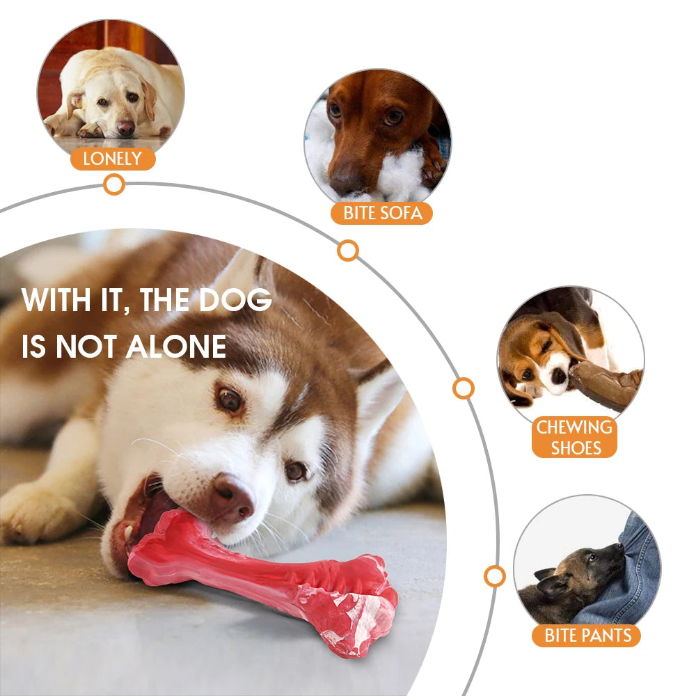 Pet Dog Bone Chew Toy for Chewers
