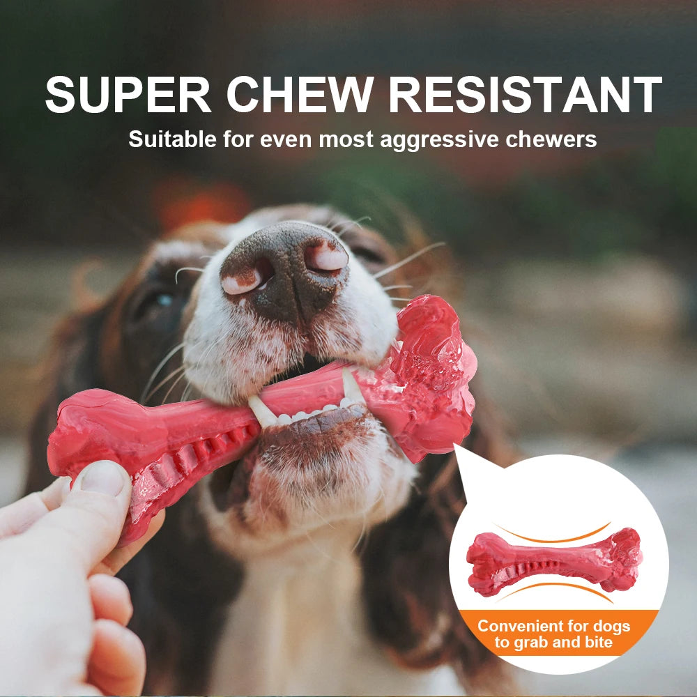 Pet Dog Bone Chew Toy for Chewers
