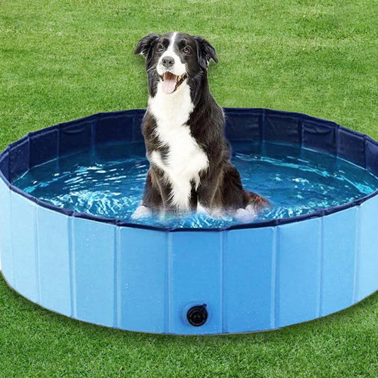 Dog Swimming Pool & Pool Cover