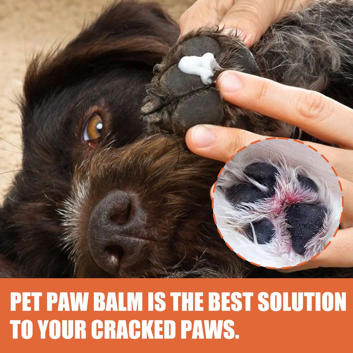 30g Cat and Dog Paw Protection Cream Moisturizing and Nourishing