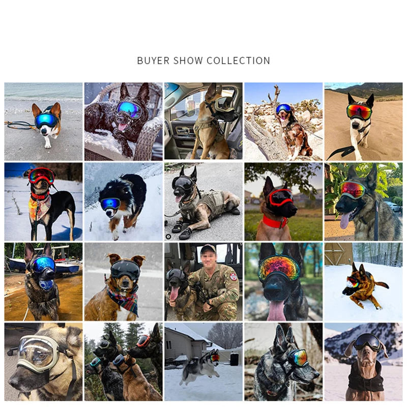 Dog Goggles Anti-UV