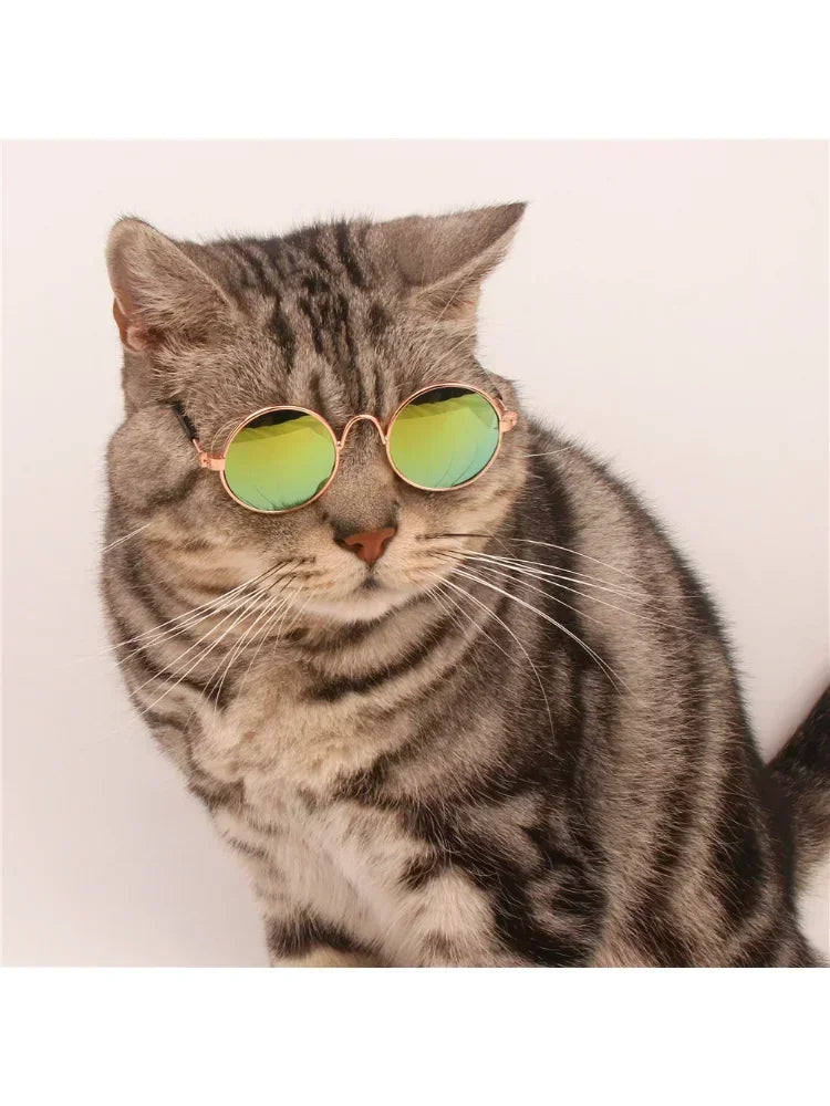 Glasses For Dogs Cat Sunglasses