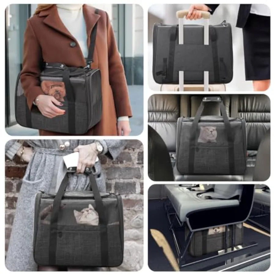 JUNGYOUN Premium Cat Carrier Pet Carrier for Cat Small Dogs up to 15lbs Airline Approved Travel Dog Carrier with AntiEscape Zip