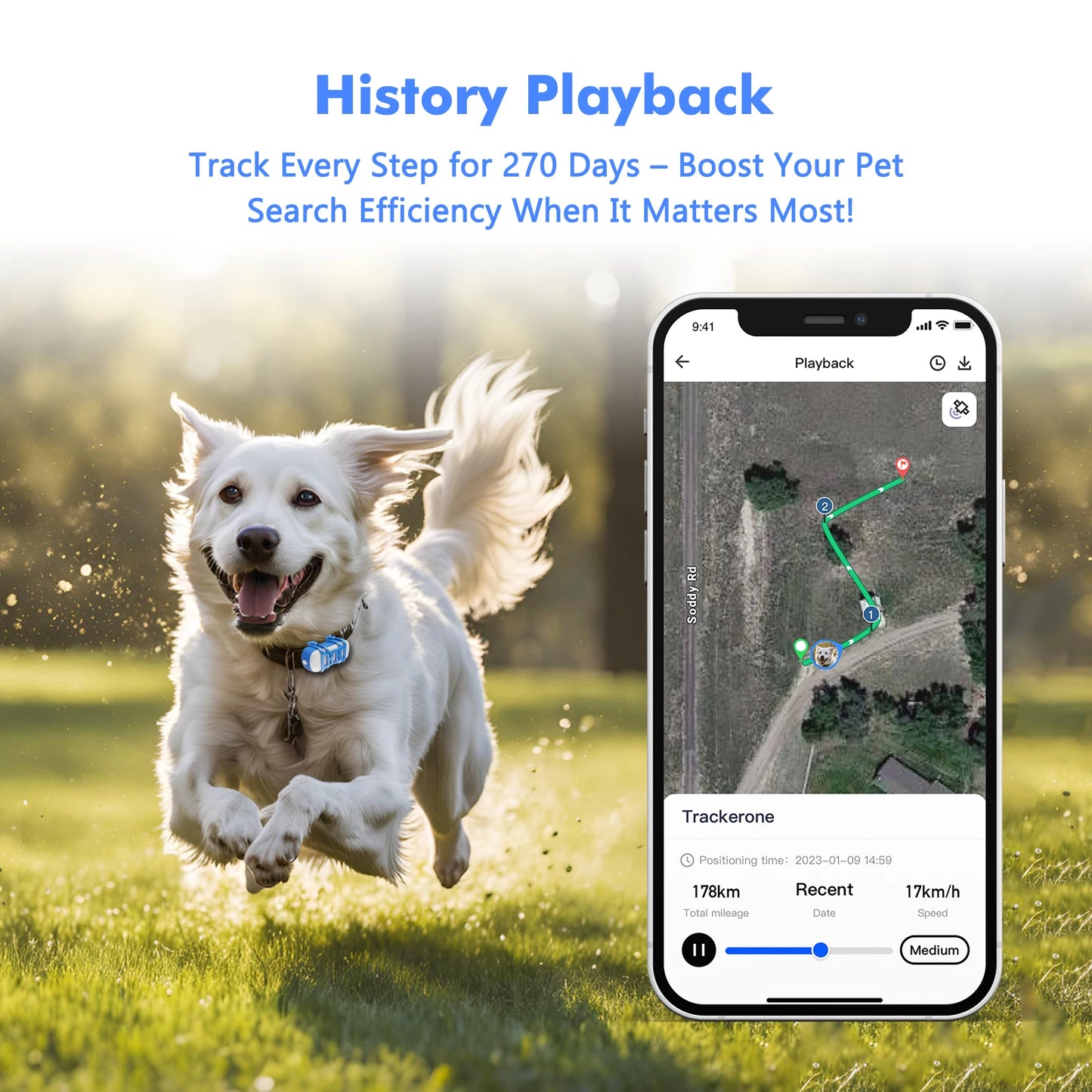 ‌4G Dog Cat GPS Tracker for Pets