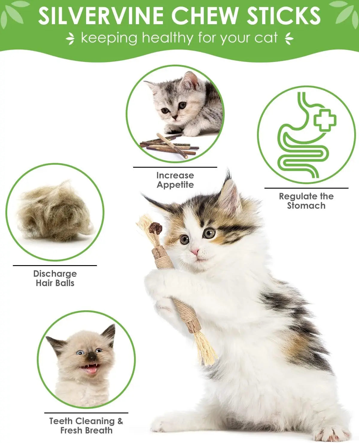 Cat gritting toy, 12 packs of natural silver vine sticks, used for cat tooth cleaning, dental care, and appetite enhancement