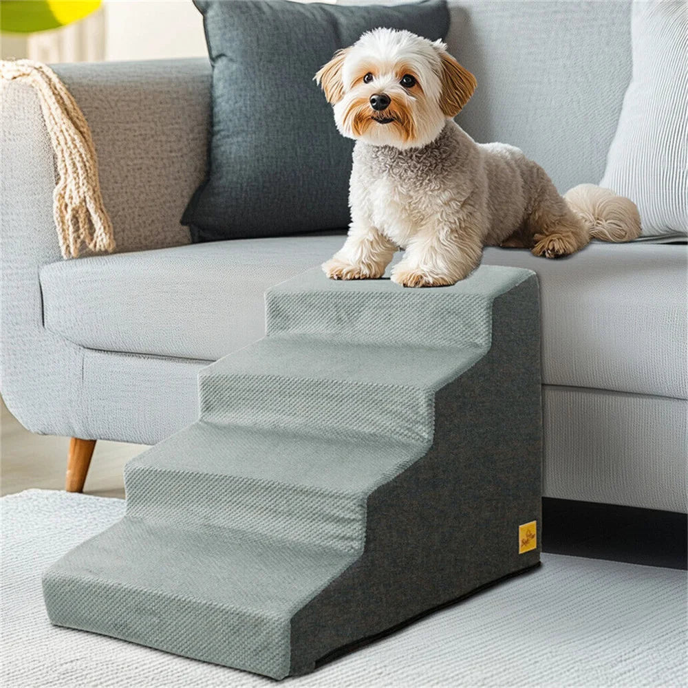 Dog And Cat  Stairs