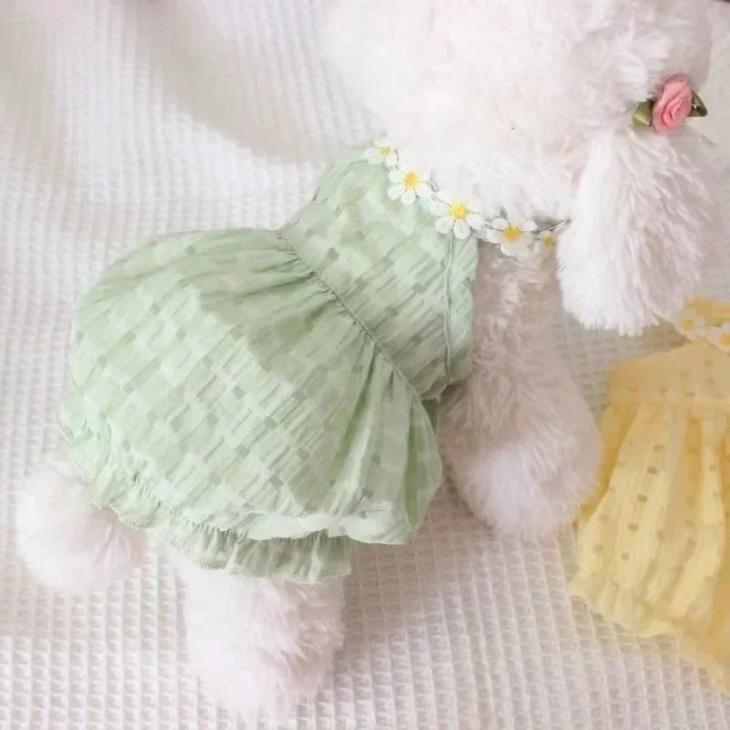 Daisy Dress Pet Clothing Dogs
