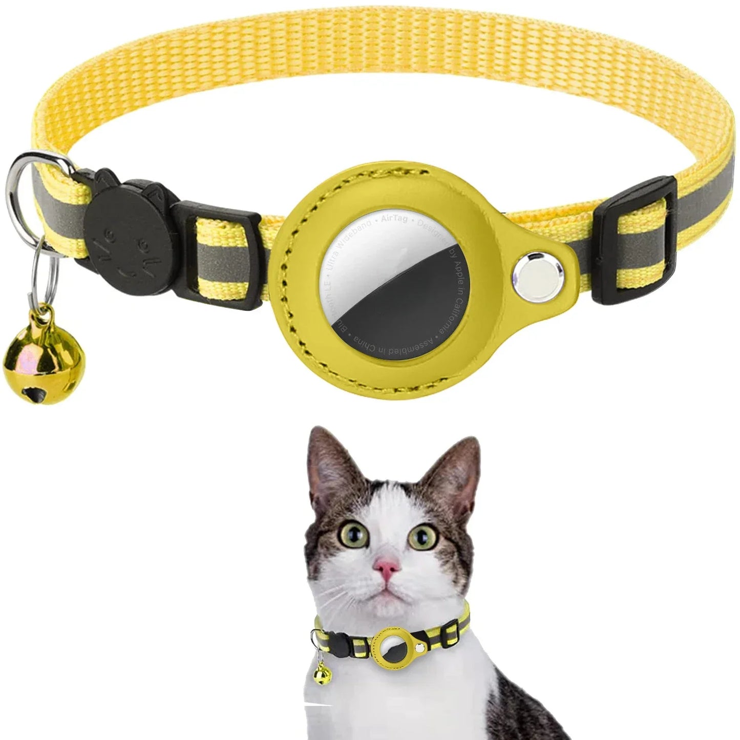 Cat Positioning Collar