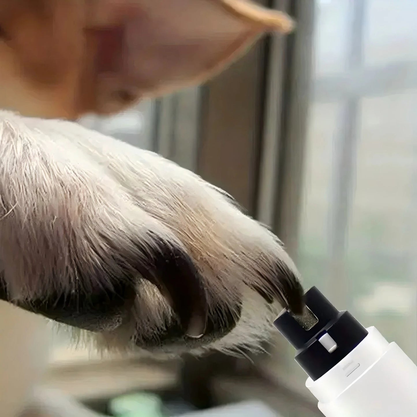 Electric Pet Nail Grinder USB Rechargeable Cat & Dog Nail Clipper with 3 Colors (White,Green,Pink), Safe & Easy Grooming Tool