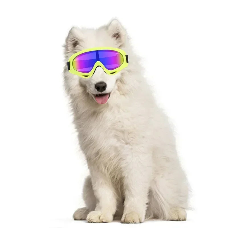 Big Dog Goggles