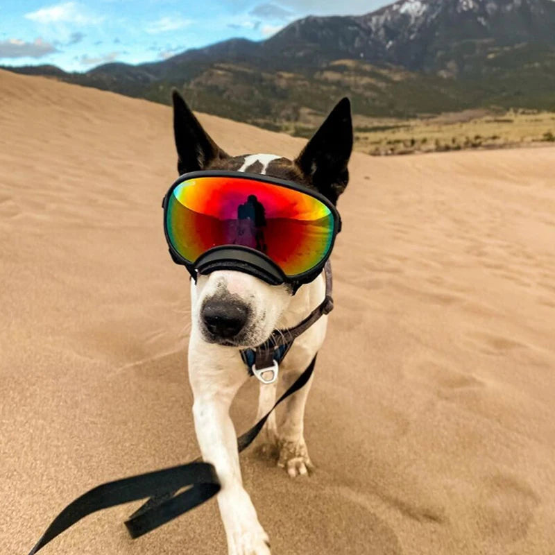 Dog Goggles Anti-UV