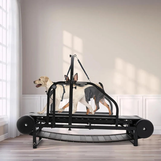 Dog Treadmill for Medium Dogs, Large Dogs, Adjustable Ramp