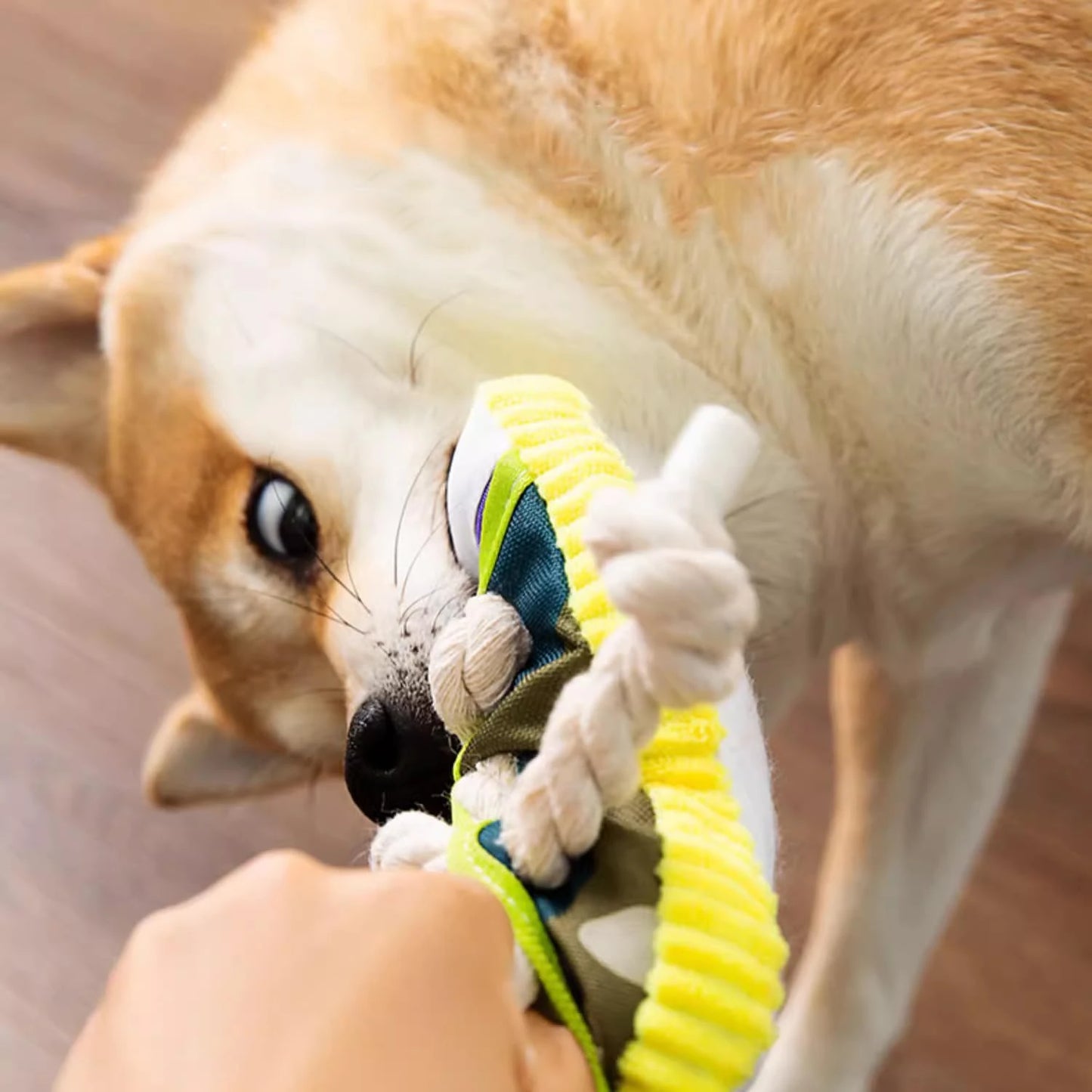 Interactive Grey Canvas Chew Toy for Active Dogs
