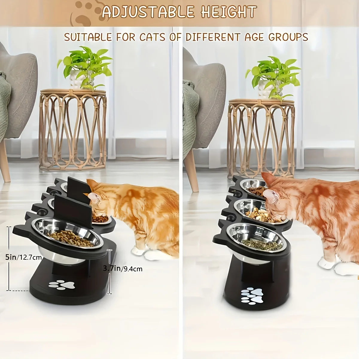 Cat 3 Bowls in 1 Feeder Feeding & Watering Supplies Food Bowl 15-Degree Tilt Raised Puppy 3 Stainless Steel Bowls Wood Brackets