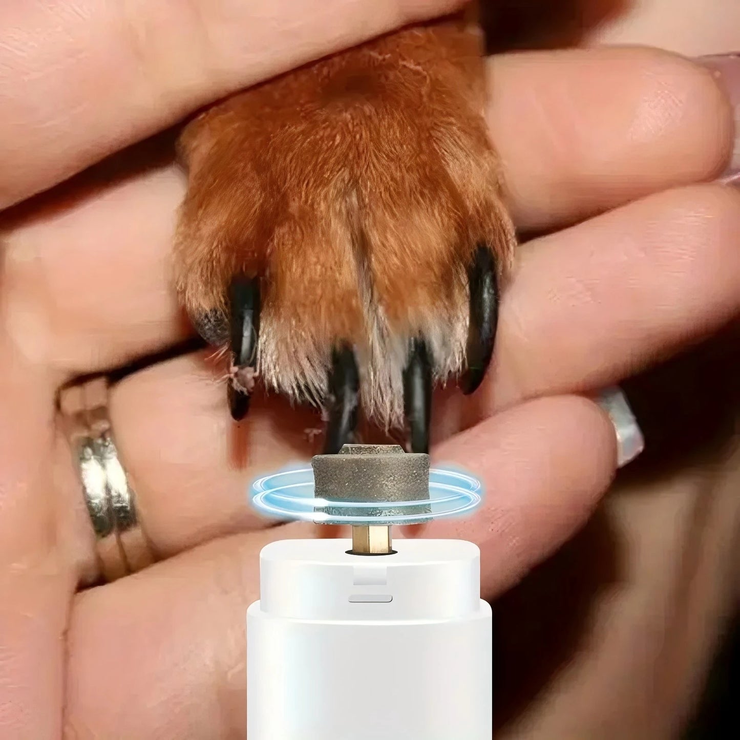 Electric Pet Nail Grinder USB Rechargeable Cat & Dog Nail Clipper with 3 Colors (White,Green,Pink), Safe & Easy Grooming Tool