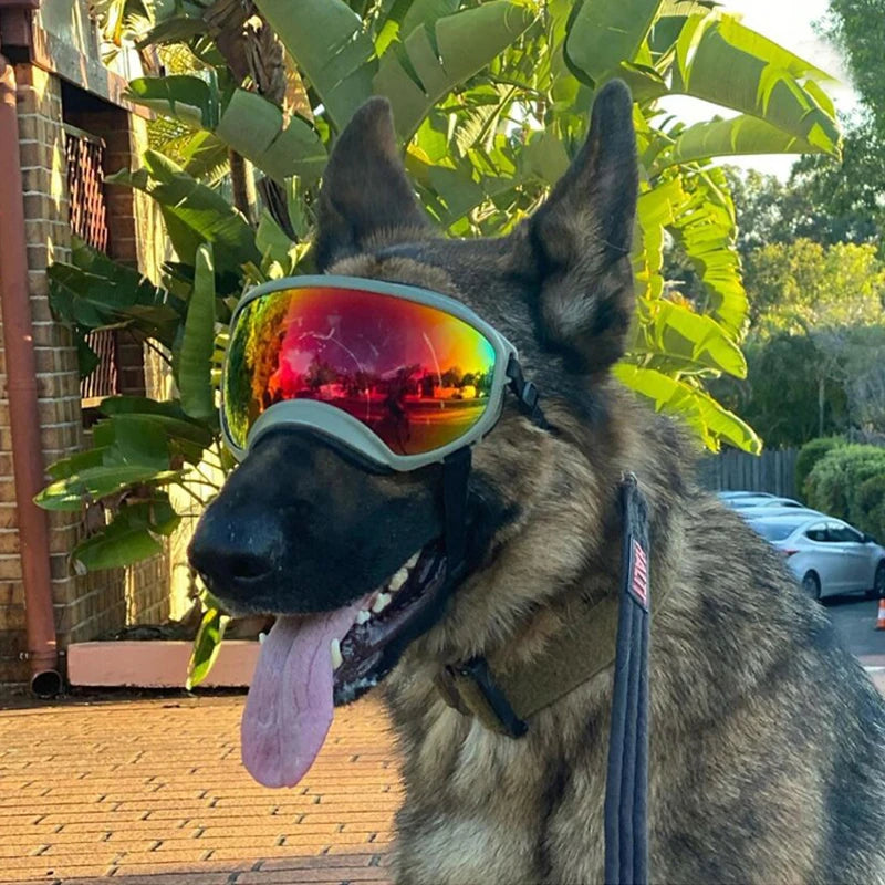 Dog Goggles Anti-UV