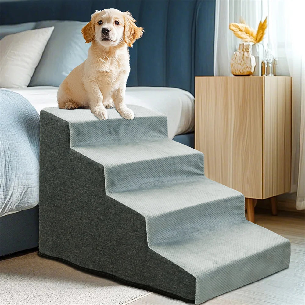 Dog And Cat  Stairs