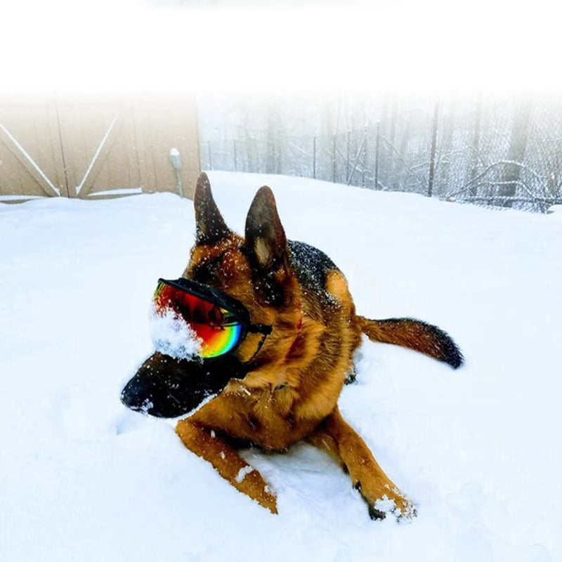 Dog Goggles Anti-UV