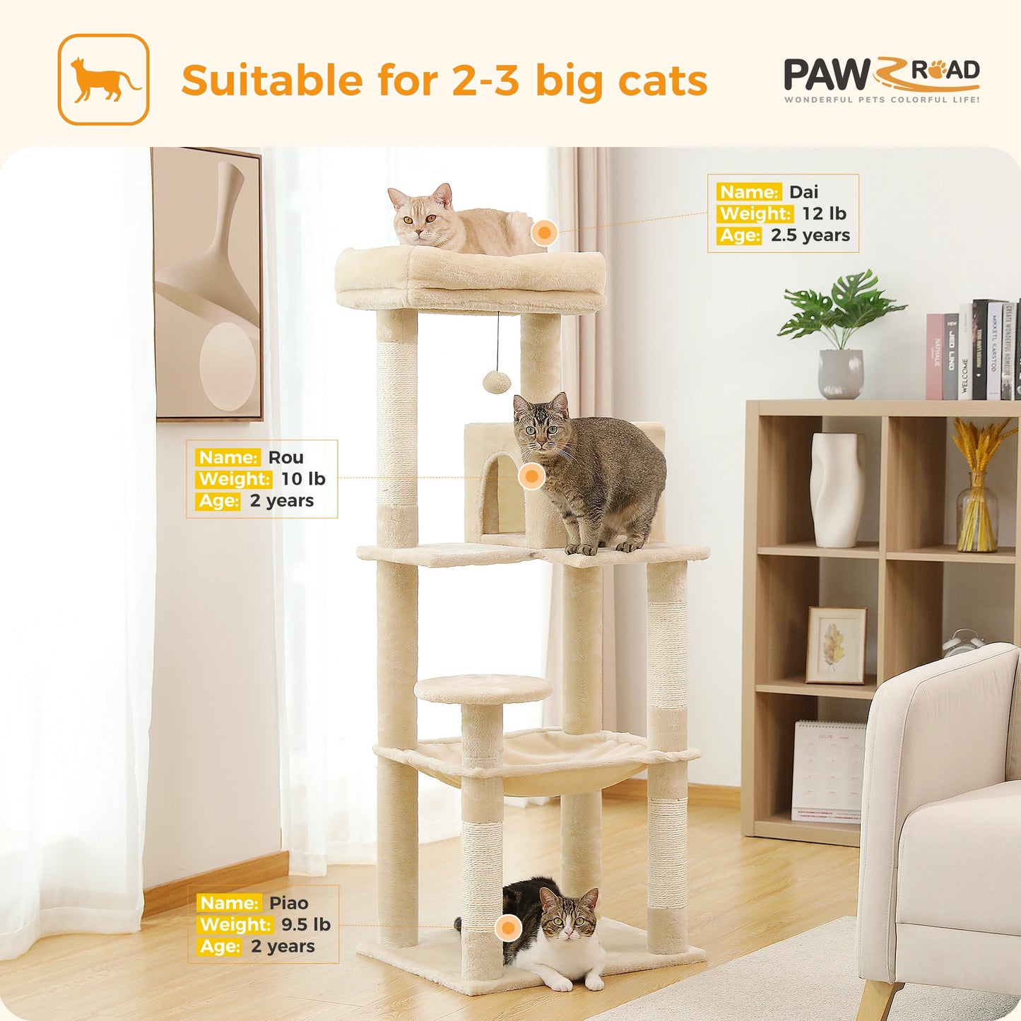 Cat Tree for Indoor Cats