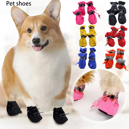 Dog Shoes