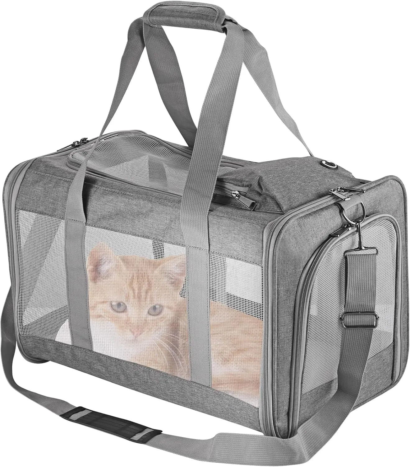 Airline-approved pet carrier for cats/dogs