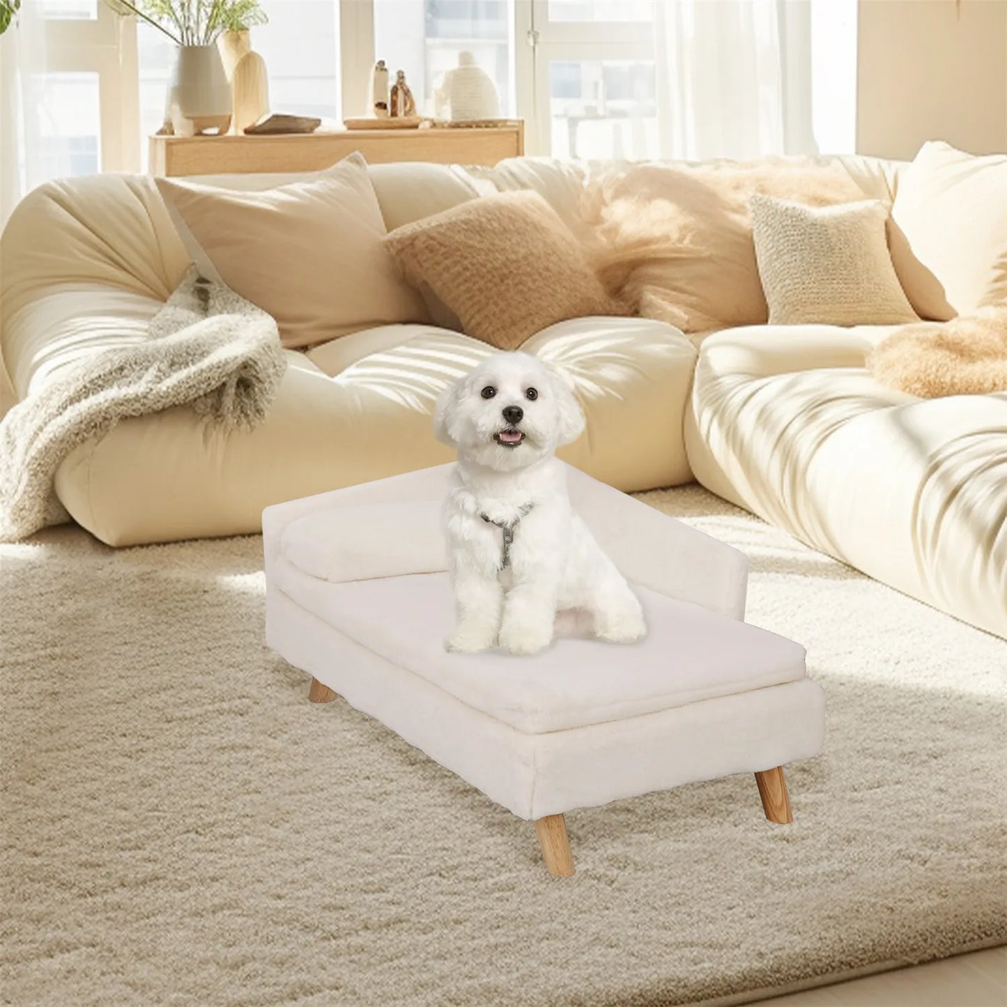 Elevated Pet Bed For Small Dog Kitten