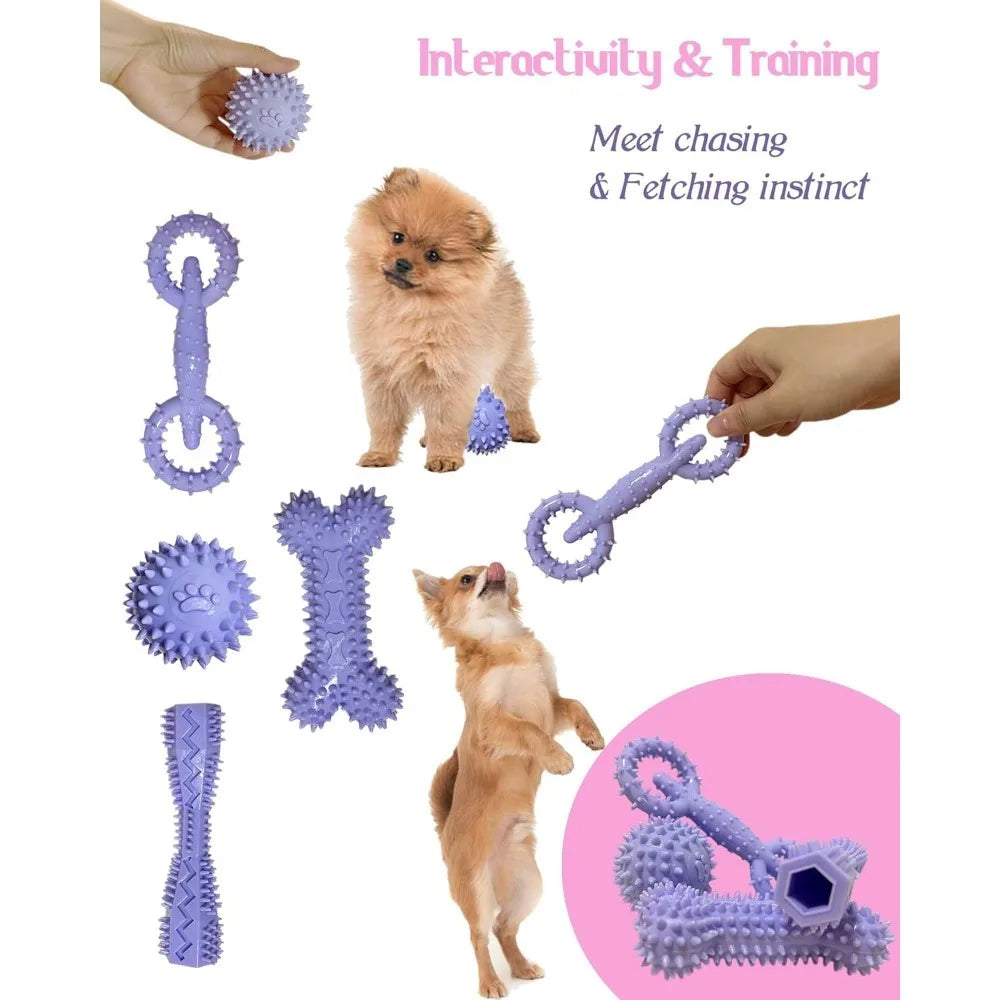 Puppy Toys for 2-8 Months