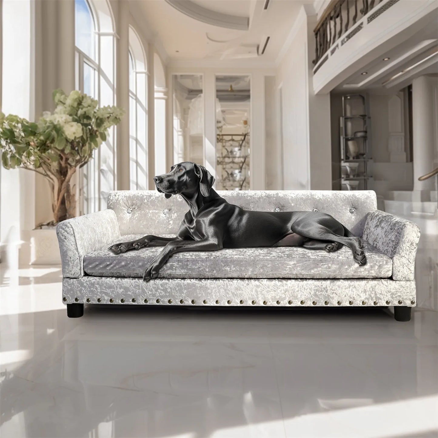 Bingo Paw Large Dog Sofa Bed