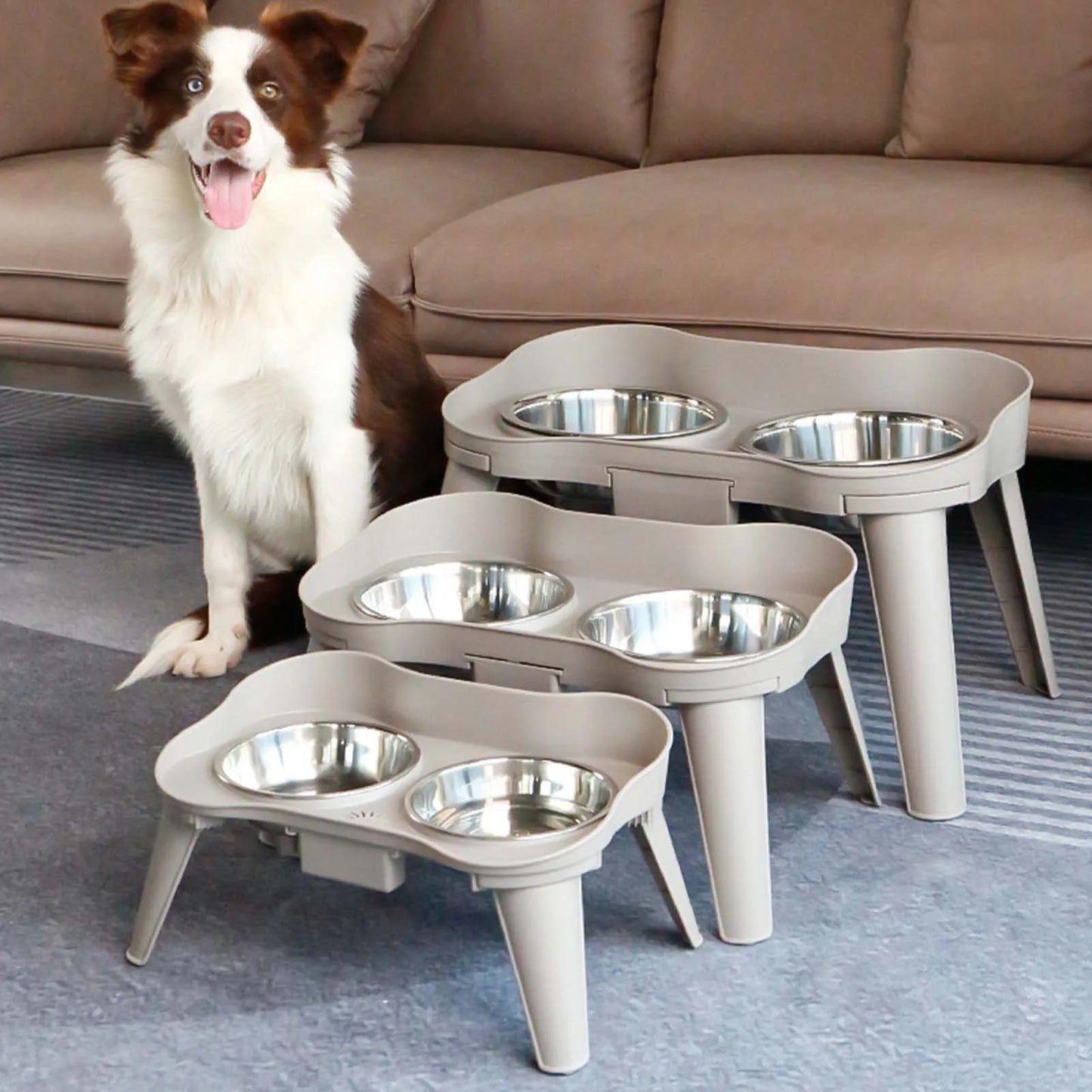 Raised Stand Elevated Dog and Cat Feeder