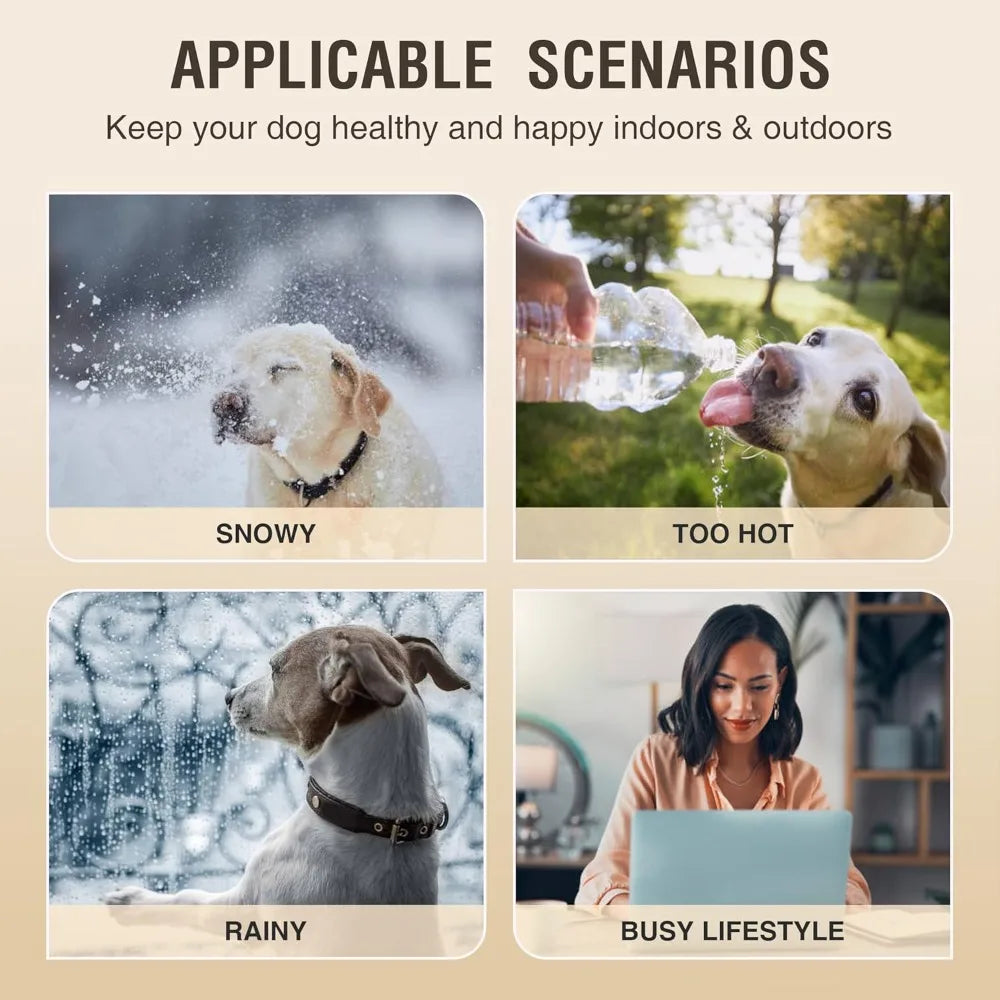 Dog Treadmill for Medium Dogs, Large Dogs, Adjustable Ramp