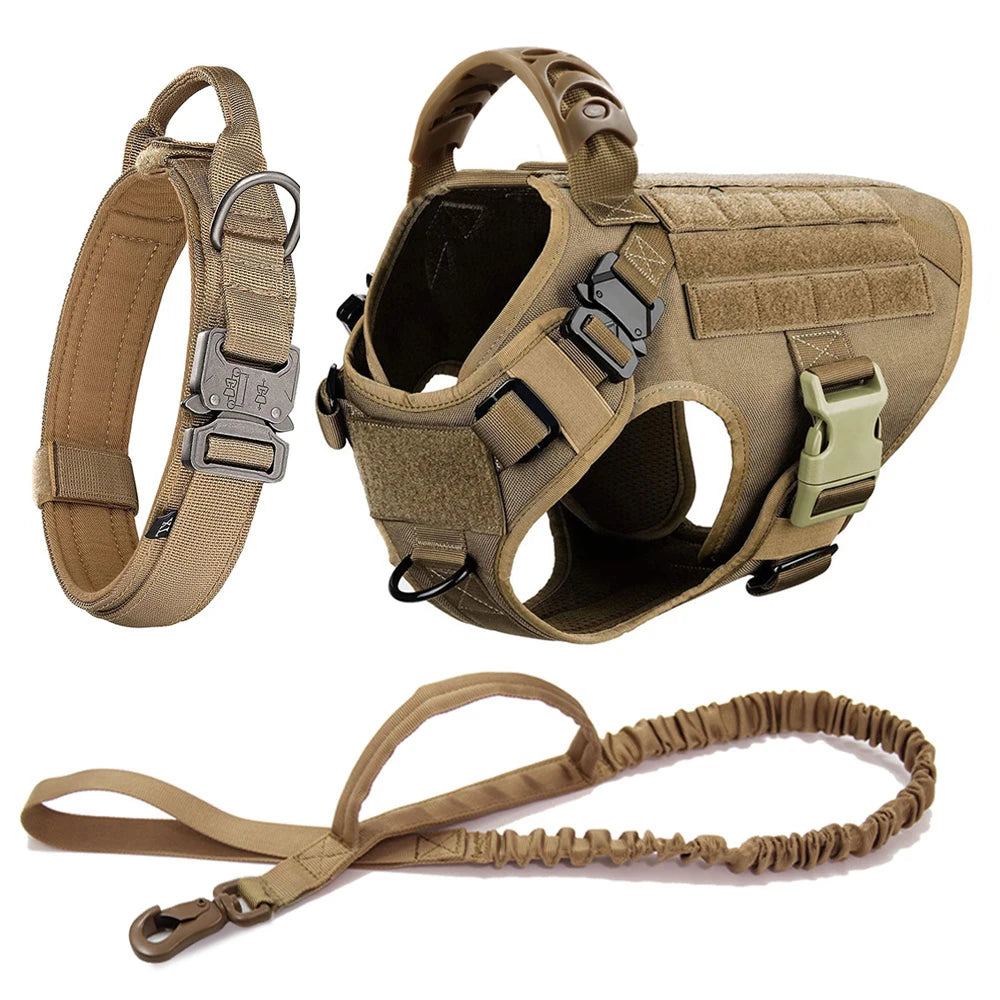 Dog Harness, Collar and Leash For Medium Large Dogs
