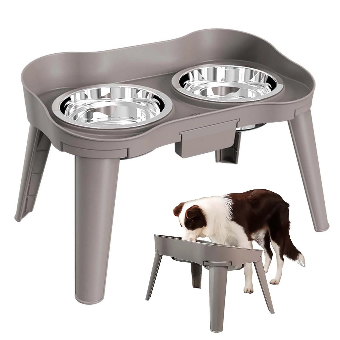 Raised Stand Elevated Dog and Cat Feeder